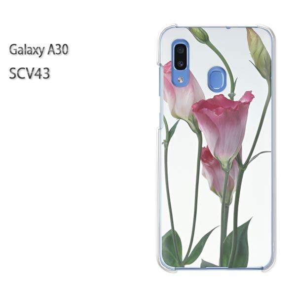 Galaxy A30 SCV43 �M�����N�V�[ galaxysa30  ��(�s���N)/scv43-pc-new1021