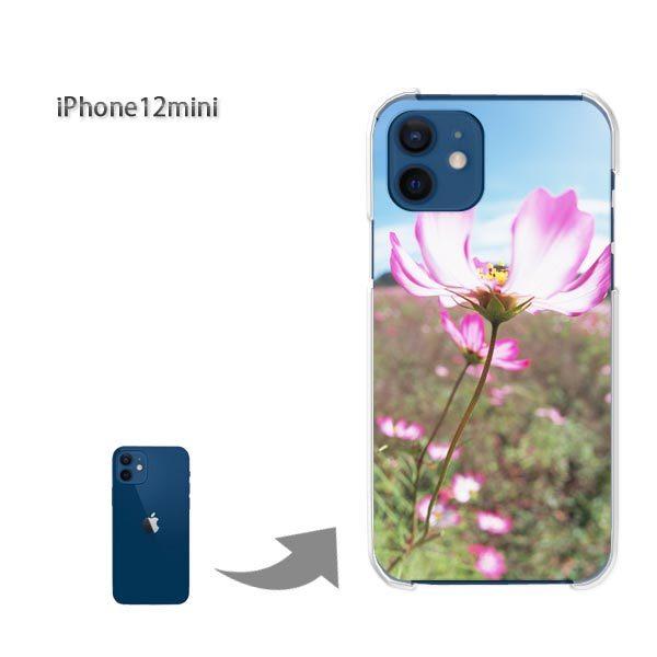  iPhone12mini P[X Jo[ ACtH n[hP[X fUC (sN)/i12mini-pc-new1531