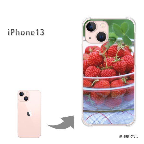  iPhone13 Jo[ n[hP[X fUC XC[cEiԁj/i13-pc-new0544