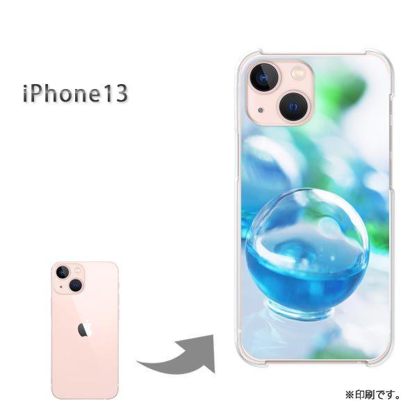 iPhone13 �J�o�[ �n�[�h�P�[�X �f�U�C�� �V���v���E��(�u���[)/i13-pc-new1511