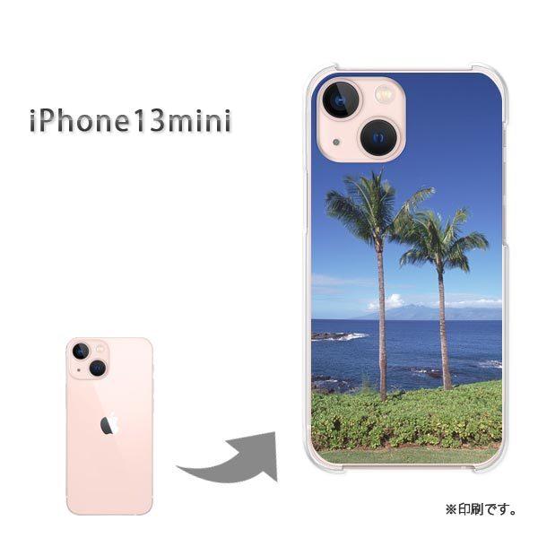  iPhone13mini Jo[ n[hP[X fUC āEVvECEV̖(u[)/i13mini-pc-new0163