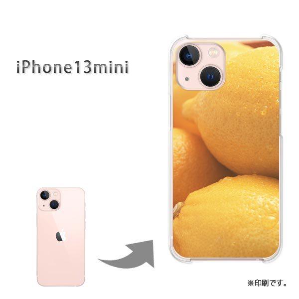  iPhone13mini Jo[ n[hP[X fUC XC[cE()/i13mini-pc-new0633