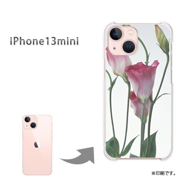  iPhone13mini Jo[ n[hP[X fUC (sN)/i13mini-pc-new1021