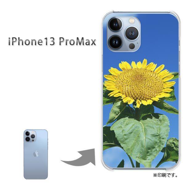  iPhone13ProMAX Jo[ n[hP[X fUC ԁEЂ܂()/i13promax-pc-new1534