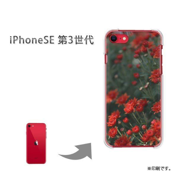  iPhoneSE3 Jo[ n[hP[X fUC ()/ise3-pc-new0364