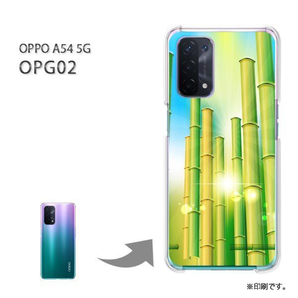 OPPO A54 5G OPG02 �P�[�X �J�o�[ �n�[�h�P�[�X �f�U�C�� �ԁE�|�E�L���L��(�O���[��)/opg02-pc-new1375