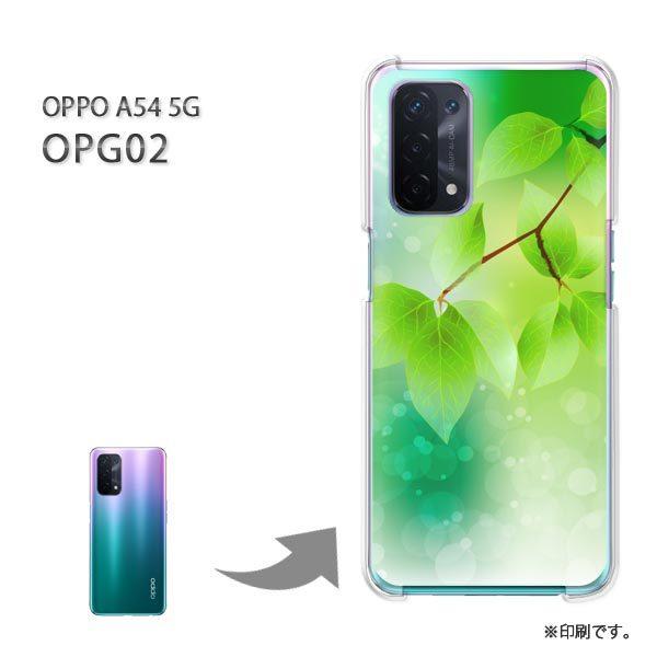OPPO A54 5G OPG02 �P�[�X �J�o�[ �n�[�h�P�[�X �f�U�C�� �ԁE�t�E�L���L��(�O���[��)/opg02-pc-new1376
