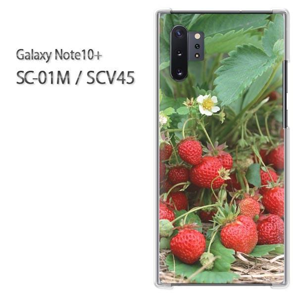  Galaxy Note10+ SC-01M SCV45 MNV[ m[g10vX  XC[cEiԁj/sc01m-pc-new0384