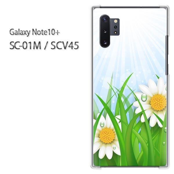 Galaxy Note10+ SC-01M SCV45 �M�����N�V�[ �m�[�g10�v���X  ��(�u���[)/sc01m-pc-new0637
