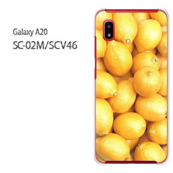 Galaxy A20 SC-02M SCV46 �M�����N�V�[ galaxya20 �n�[�h�P�[�X �f�U�C��  ������/sc02m-M990