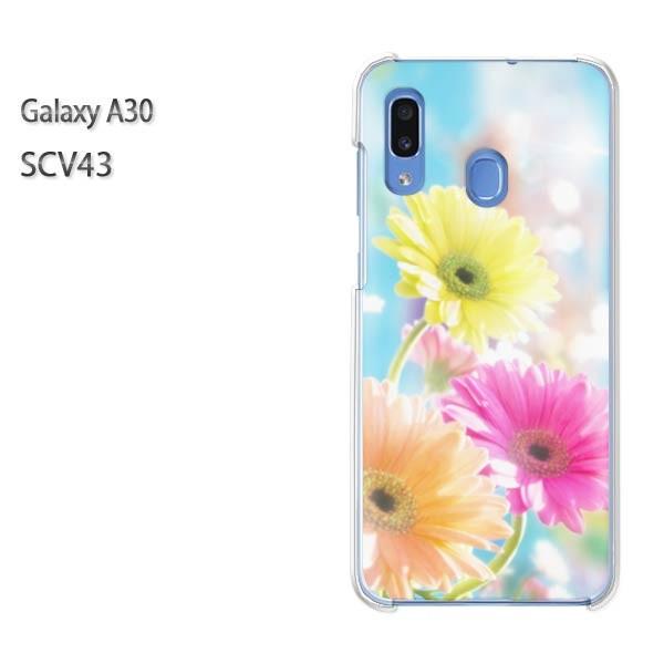 Galaxy A30 SCV43 �M�����N�V�[ galaxysa30 �n�[�h�P�[�X �f�U�C��  �K�[�x���iC�j/scv43-M967