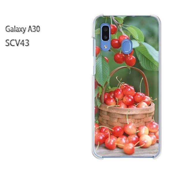 Galaxy A30 SCV43 �M�����N�V�[ galaxysa30  �X�C�[�c�E��������(��)/scv43-pc-new0381