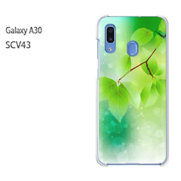 Galaxy A30 SCV43 �M�����N�V�[ galaxysa30  �ԁE�t�E�L���L��(�O���[��)/scv43-pc-new1376