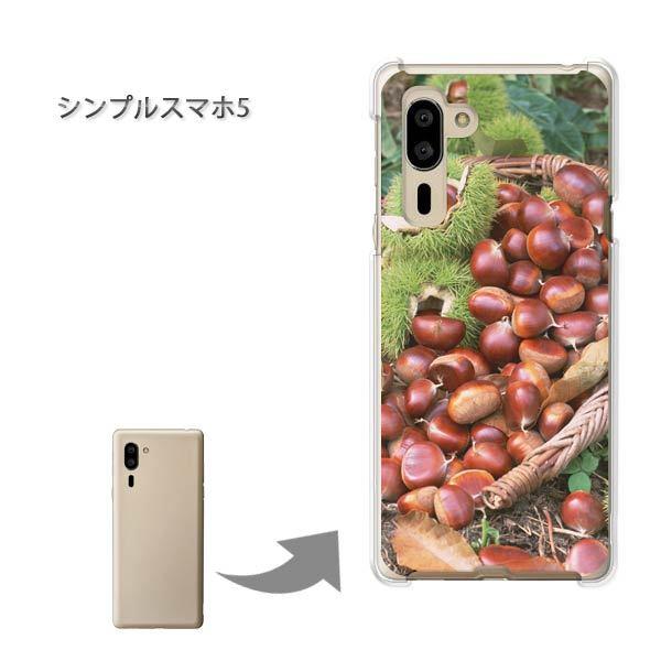  VvX}z5 \tgoN n[hP[X fUC HEVvEI(uE)/simple5-pc-new0589