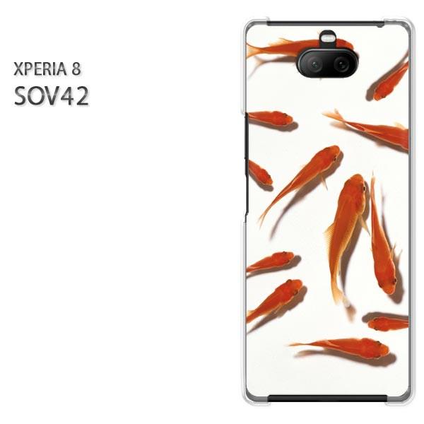 SOV42 Xperia8 �G�N�X�y���A8 �n�[�h�P�[�X �f�U�C�� �����E����(��)/sov42-pc-new0166