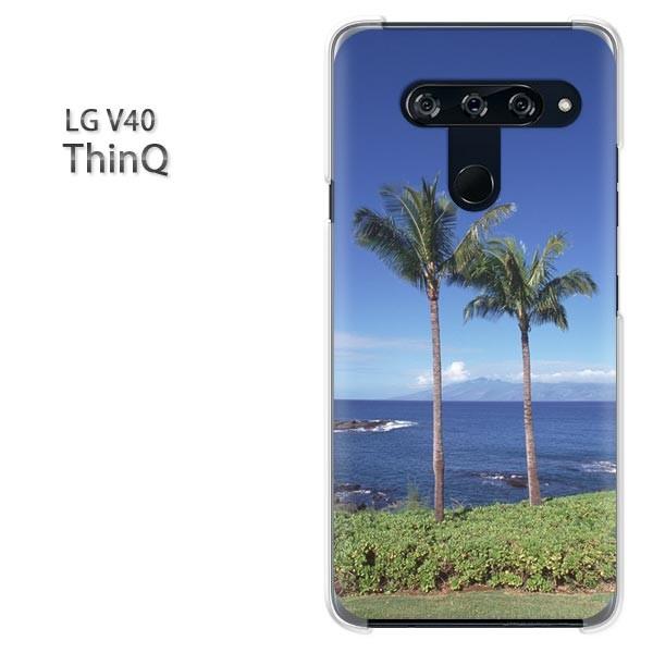  LG V40 ThinQ P[X Jo[ fUC āEVvECEV̖(u[)/v40-pc-new0163
