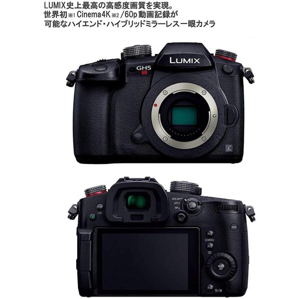 パナソニック ミラーレス一眼カメラ ルミックス Gh5s お歳暮 Dc Gh5s K ブラック ボディ
