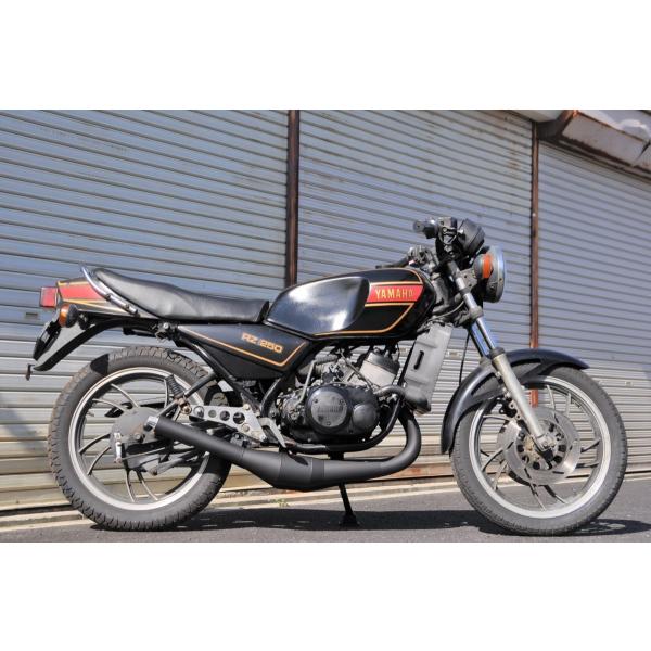 ヤマハミント sea styleチャンバー ヤマハ（YAMAHA）1986年 MINT Deluxeのカタログ情報 | 沖縄の