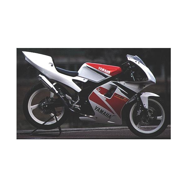 ORM製 ヤマハ TZR50R クレイジーチャンバー アルミサイレンサー 耐熱