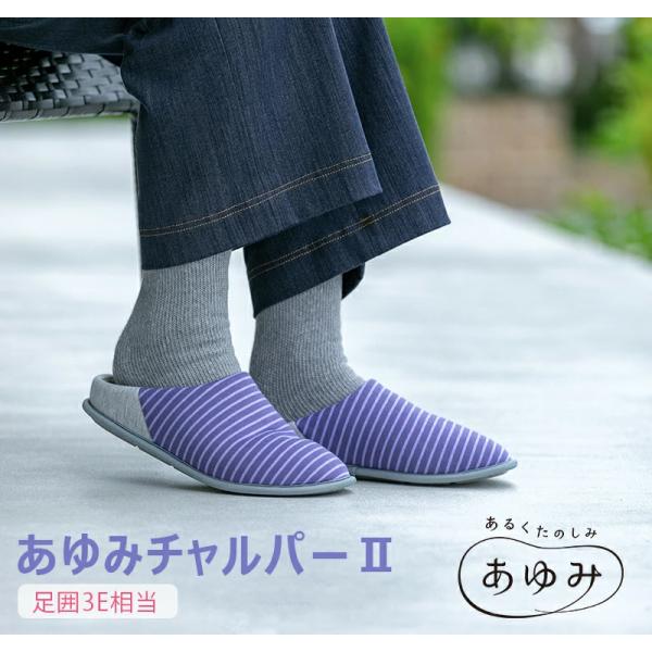 あゆみシューズ あゆみチャルパーII 3E 2236 室内用 ケアシューズ 歩きやすい 介護シューズ 手洗い可能 高齢者 婦人 紳士 おしゃれ 転ばない 疲れない 敬老
