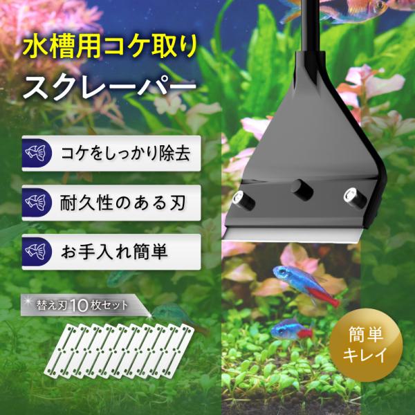 コケ取り 用品 刃先 苔とり 掃除 スクレーパー メンテナンス 用具 アクアリウム 水槽 10枚 ツール 軽量 幅広 簡単 クリーナー カバー付き