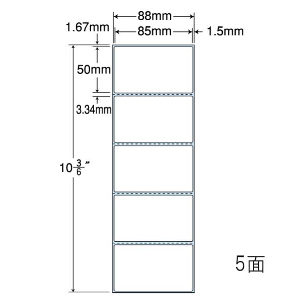i܂ƂߔjTM-3A PDx A^Cv 2P[X 4000 nCNIeB^Cvij m