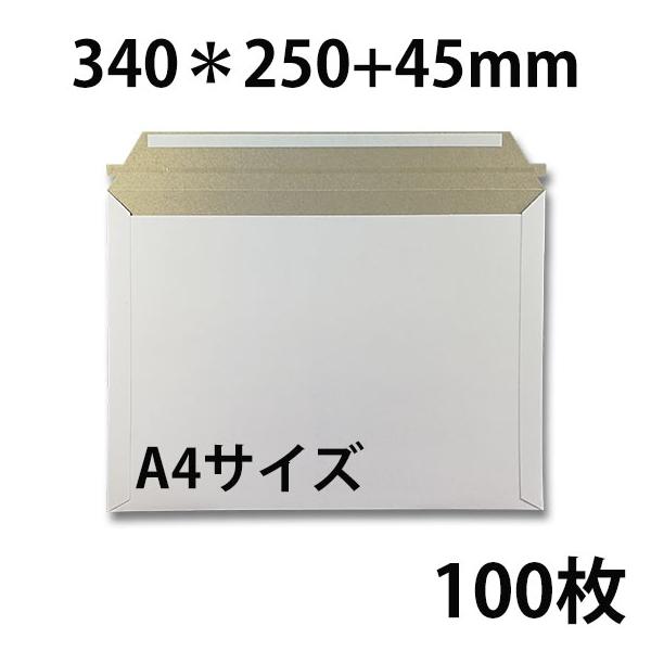 ビジネスレターケース A4サイズ 100枚 EMS-A4 | ビジネス 郵便 郵送用