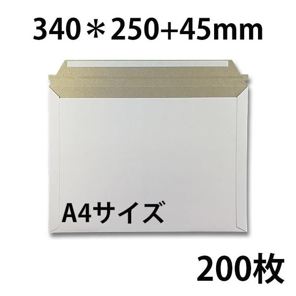 ビジネスレターケース A4サイズ 200枚　EMS-A4 | ビジネス 郵便 郵送用 配達 手紙 封筒 レターケース宅配 配達 パック