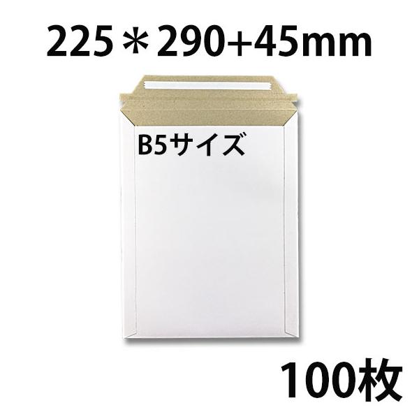 ビジネスレターケース B5サイズ 100枚　EMS-B5