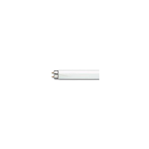 fhf24sel」の人気商品一覧 | 安い商品を通販サイトから探す