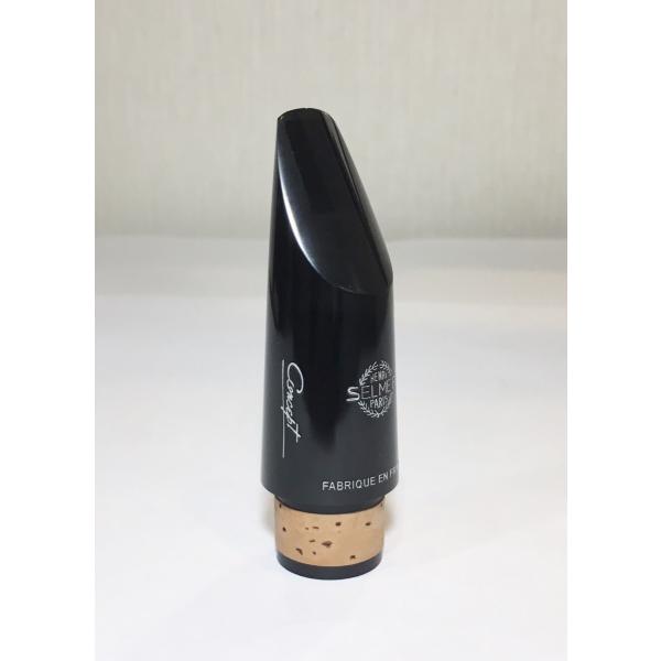 }EXs[X BNlbg Z}[ RZvg Selmer Concept