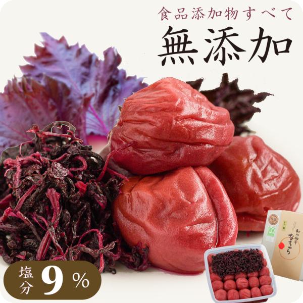 昔ながらの梅干しの美味しさを再現しつつ、食品添加物すべて無添加ながら塩分を抑えたこだわりの梅干し。しそ液、還元水飴、梅酢、食塩のみで漬けたシンプルな味わいです。国産の赤しそ入りで、封をあけるとさわやかな、しそのとてもいい香りが広がります。紀...