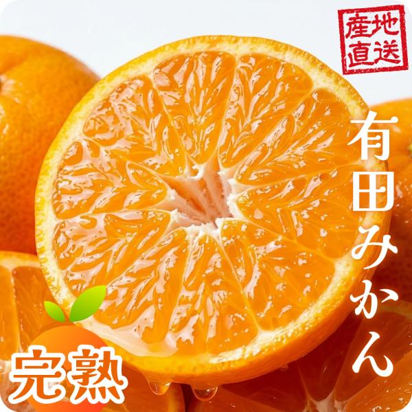 有田みかん 完熟 1.5kg SS 〜 2L 箱買い 甘い 箱 売り 和歌山 温州 国産 品種 産地直送 ブランド 早生 晩生 大玉 小玉 小粒 赤秀 青秀 優 三木ファーム