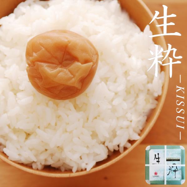 梅干し 無添加 昔ながらの梅干し 無添加梅干し 白干し梅 酸っぱい梅干し 塩のみ 塩分20％ 天日塩 しょっぱい 生粋 600g