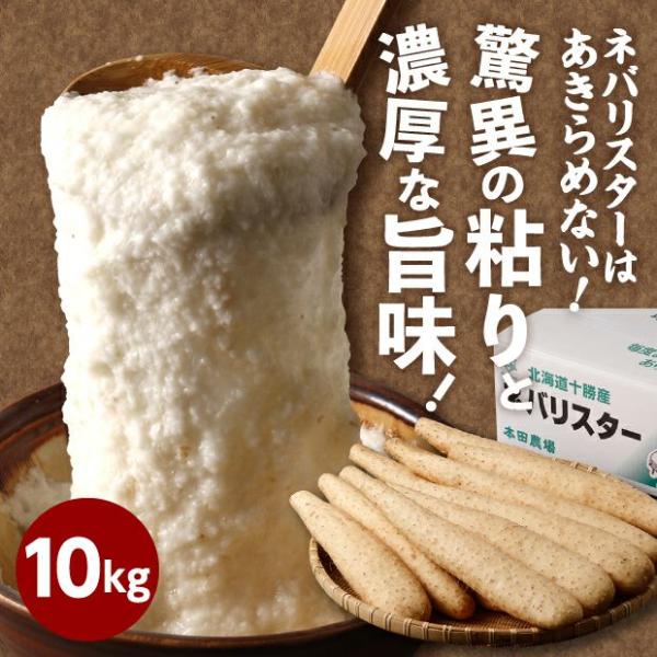 商品内容・ネバリスター　１箱10.0kgコクがあり強い粘り気が特徴の大和芋と、みずみずしくシャキシャキとした食感でサラダにもぴったりな長芋。ネバリスターはこの2つの”いいところ”を掛け合わせて生まれた品種です。そのおいしさは、特にすって「と...