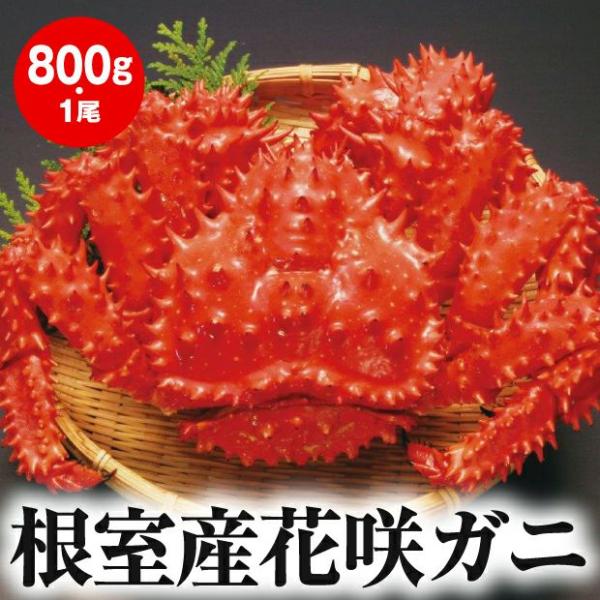 ボイル花咲ガニ(約800g) 1尾　マルナカイチ杉山水産／北海道根室市｜北海道産蟹 カニ 魚介類、海産物 かに