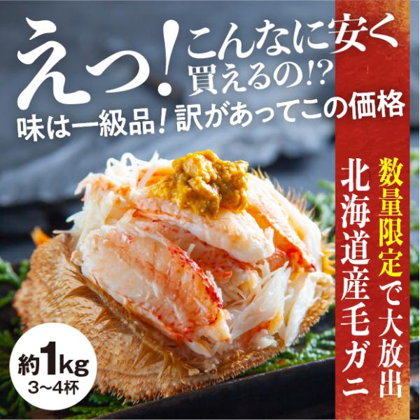 北海道産】訳あり毛ガニ 冷凍ボイル 約1kg／ 弘成 北海道函館市 かに