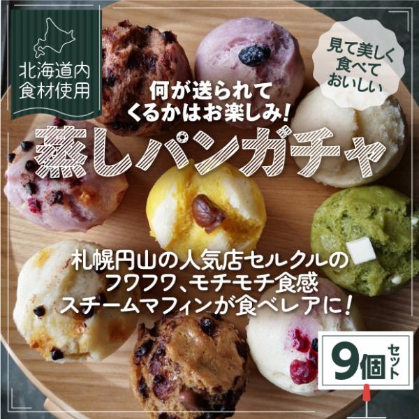 ●スチマ（蒸しパン） 80g×9個※在庫状況により商品の内容は変わります。種類のご指定はできません。【ぷれーん/三毛猫/紫芋十勝あんこ/めっちゃチョコ/マロン/抹茶豆まめ/チェシャ猫/アース/アップルティーカスタード/枝豆ベーコンチーズ/カ...