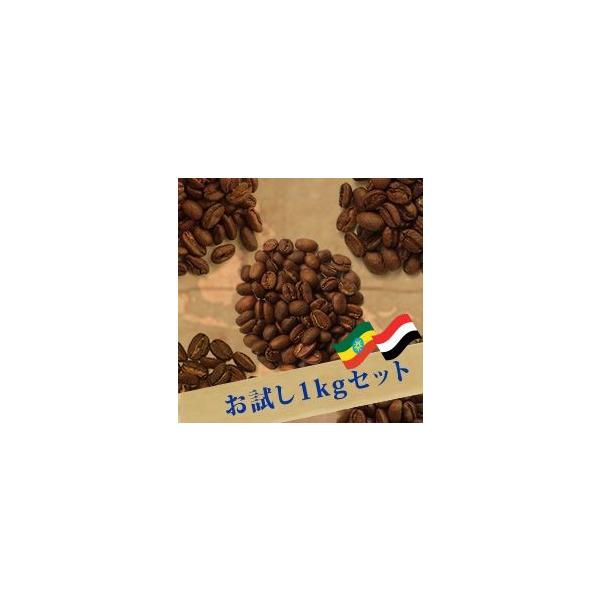  ґIP JR[q[Tݔ׃Zbgi200×5j 