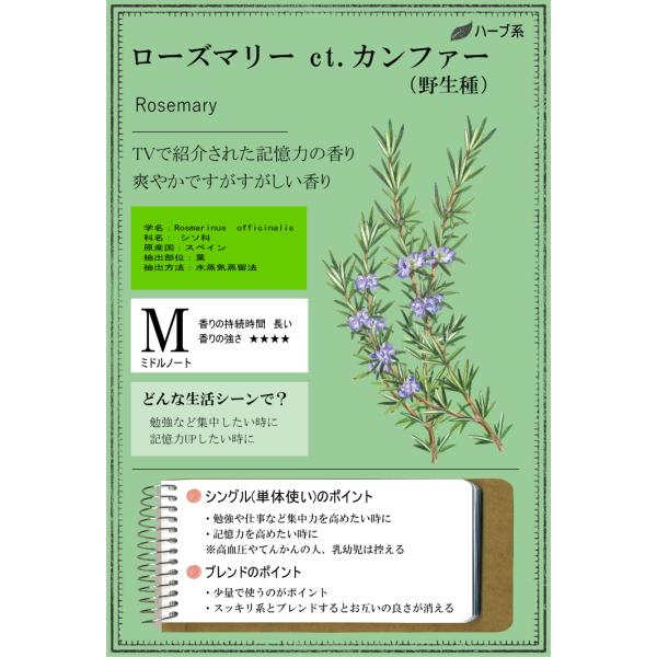 ローズマリー Ct カンファー 野生種10ml アロマ アロマオイル エッセンシャルオイル 精油 Buyee 日本代购平台 产品购物网站大全 Buyee一站式代购 Bot Online