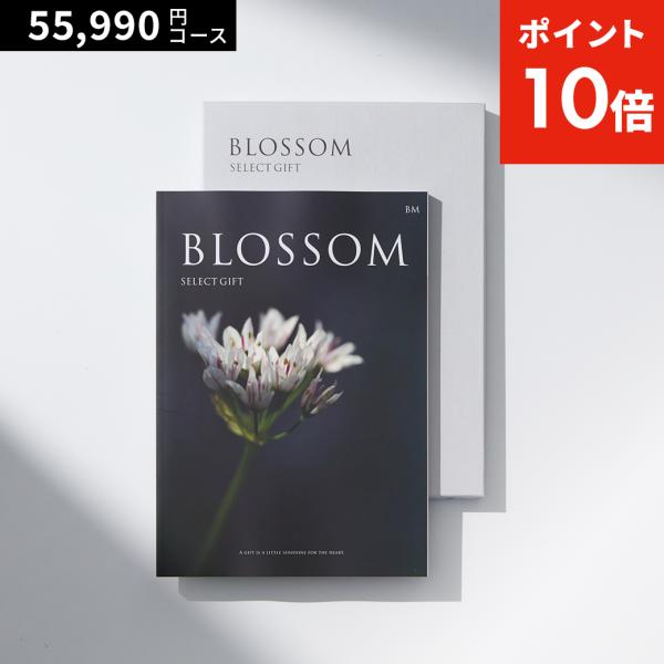 toolandmeal_05106067