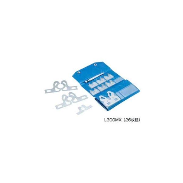 L300M2  WAXQ[Wi0.2R`2.0R@0.1gr@19gj@H앨A^A،^RiȐjɎgp@@@@tWc[