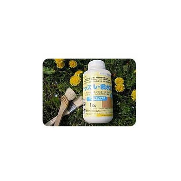 nbXEN@^؍ޕیh@10kg@ ό^@t[OAEbhfbLAOnEXȂǁ@GRRX