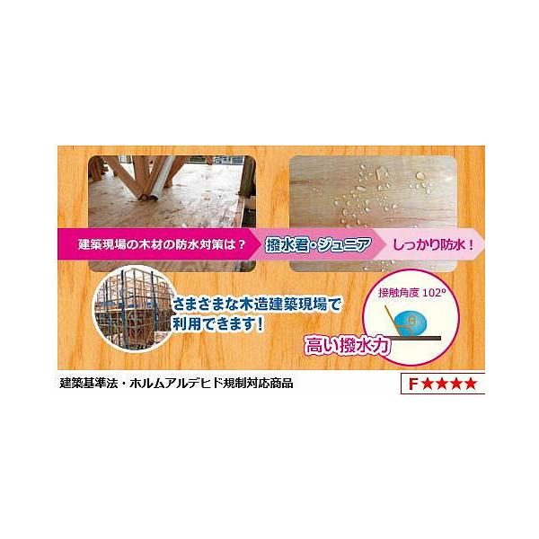 NWjA@18kg@؍ނ̔h~  {p܁@zAfqgUȂ@GRRX