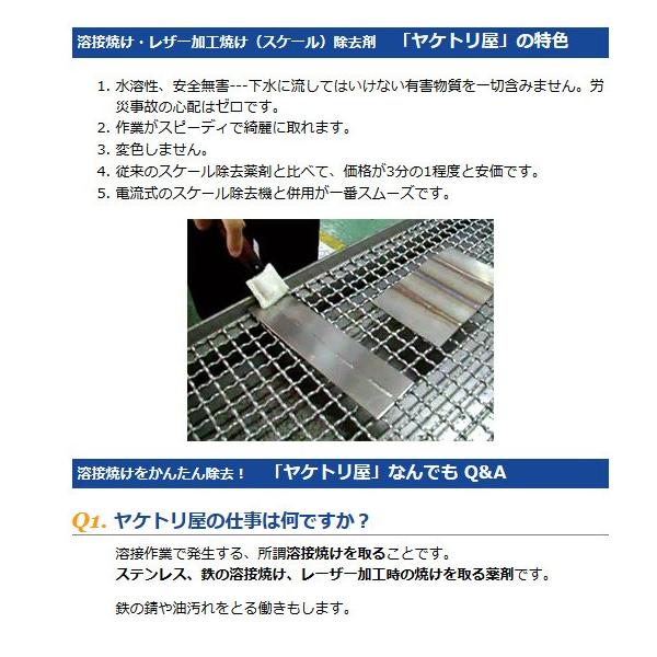 ヤケ除去剤yt B 4 ヤケトリ屋b ゲル状 4kg ヤケ除去剤 ステンレスが変色しない エココスモ Buyee 日本代购平台 产品购物网站大全 Buyee一站式代购 Bot Online