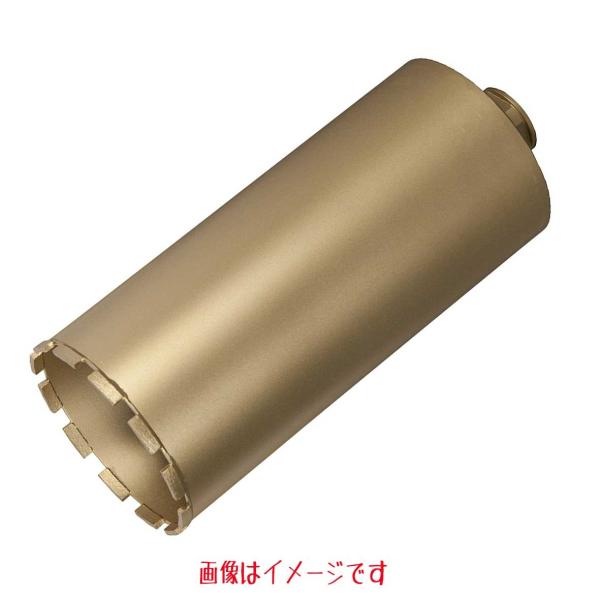 }L^ _ChRArbg 100×250 ň^ A-11732