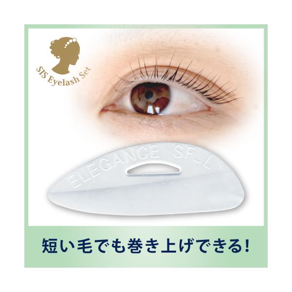 シス・スーパーフラットロット
