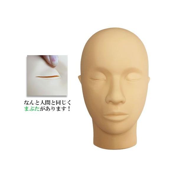 アイラッシュ　トレーニングモデル