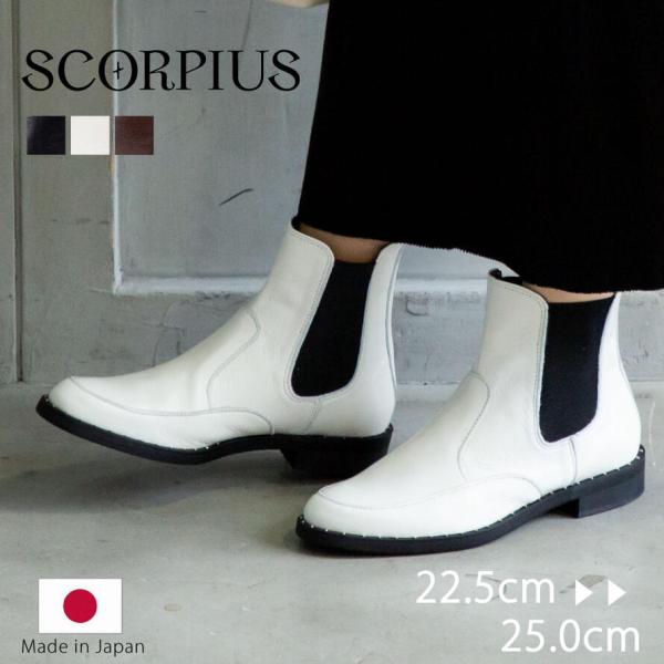 top-shoes_sco-2810