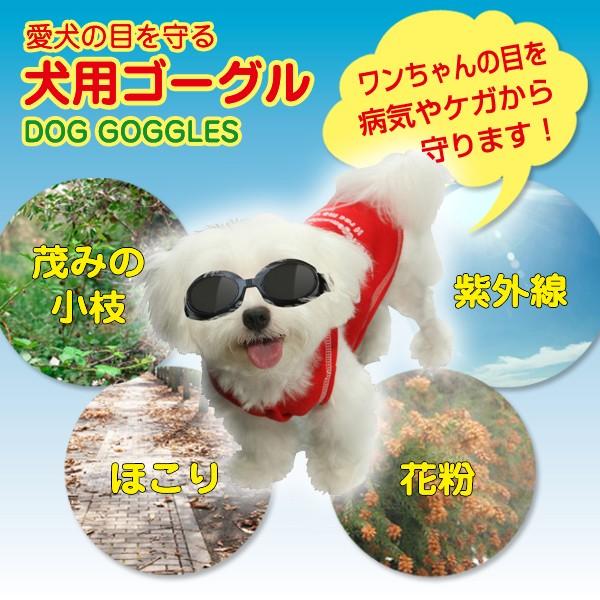 送料無料 定形外 ドッグゴーグル 犬用 メガネ 目元 保護 100 紫外線カット くもり止め加工 拡散防止レンズ ペット用 Uv 花粉 対策 犬用ゴーグルc Buyee Buyee บร การต วกลางจากญ ป น ซ อจากประเทศญ ป น
